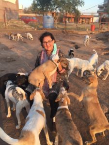 Zeba Masood: A Trailblazer in the fight against Animal Abuse. Zeba Masood is the founder of LAPS, an organization in Peshawar that seeks to rescue stray dogs. Read on...